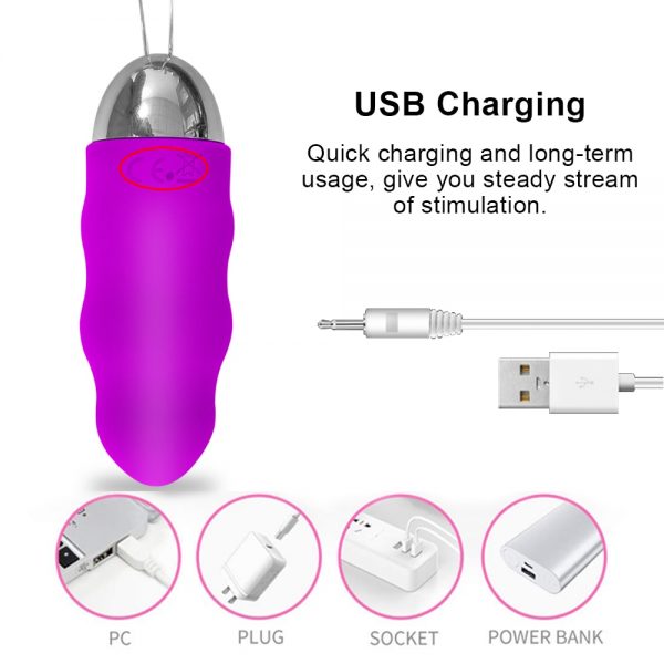Safiman Wireless Remote Vagina Ben Wa Geisha Kegel Balls Muscle Exerciser Vibrator - Image 3