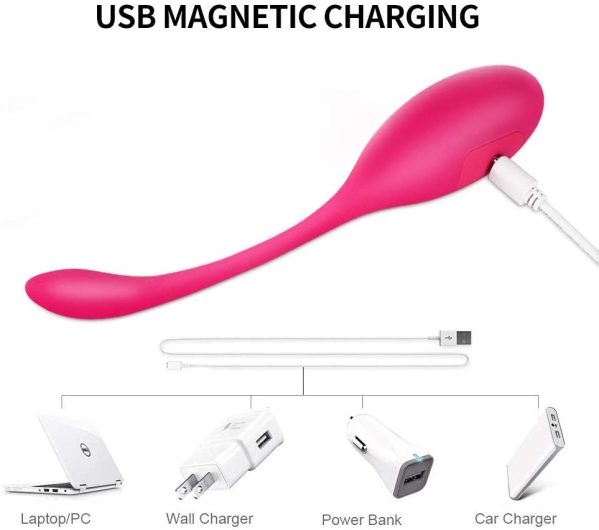 LEVETT 16 Speed Wireless Vibrating Ben Wa Kegel Ball Eggs Vibrator - Image 6