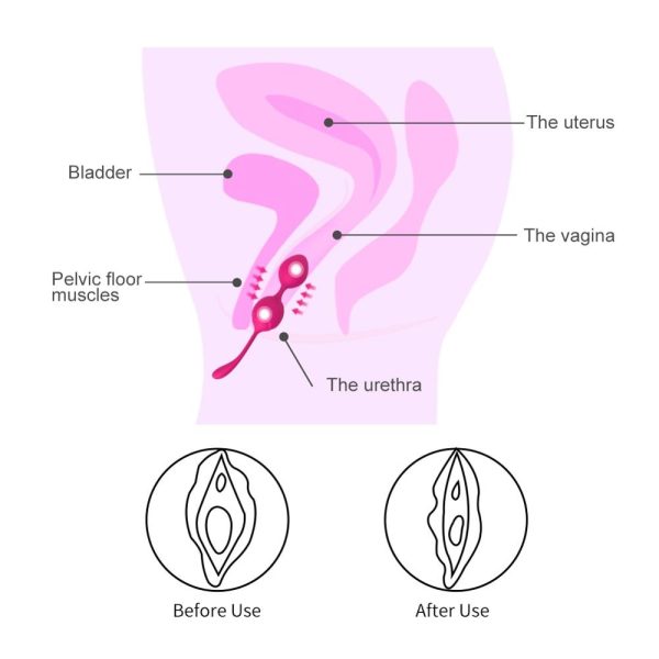 LEVETT Balls Ben Wa Kegel Ball Vaginal Tighten Exercise Egg Massager - Image 5