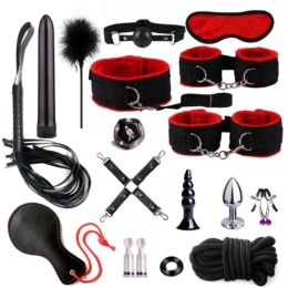 Assorted BDSM gear including restraints and toys.